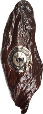 IMG_2976 копия