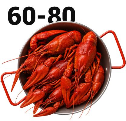 раки 60 80