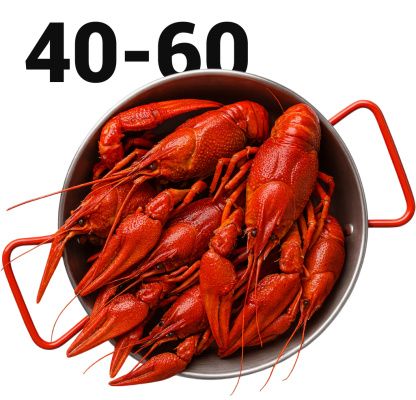 раки 40 60